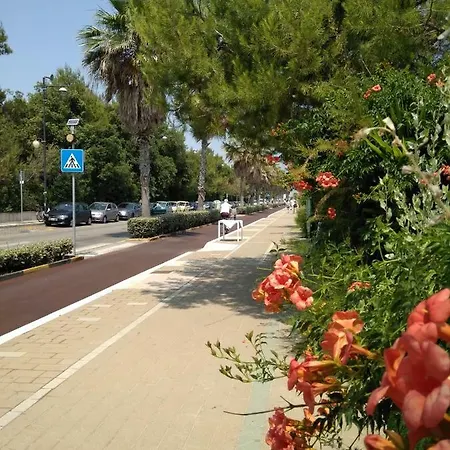 Casa Vacanze * Montesilvano